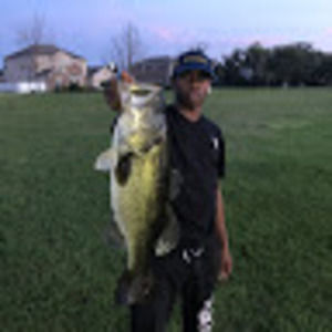 Meet your Posher, Levi